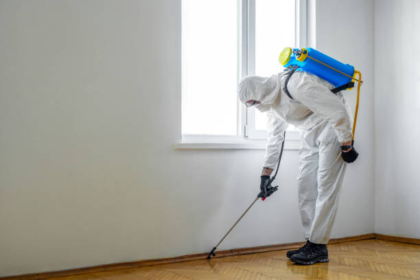 Best Emergency Pest Control  in Seacliff, CA